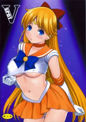 (C81) [Yamada Ichizoku. (Fukurokouji, Mokyu)] V Spot (Bishoujo Senshi Sailor Moon) manga cover