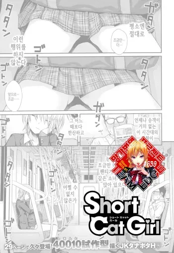 [Shimanto Shisakugata] Short Cat Girl (COMIC Kairakuten 2019-11) [Korean] [Team Edge] manga cover