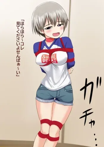 (KK) Uzaki-chan wa karakaitaikedo karamatta (Uzaki-chan wa asobitai!) manga cover