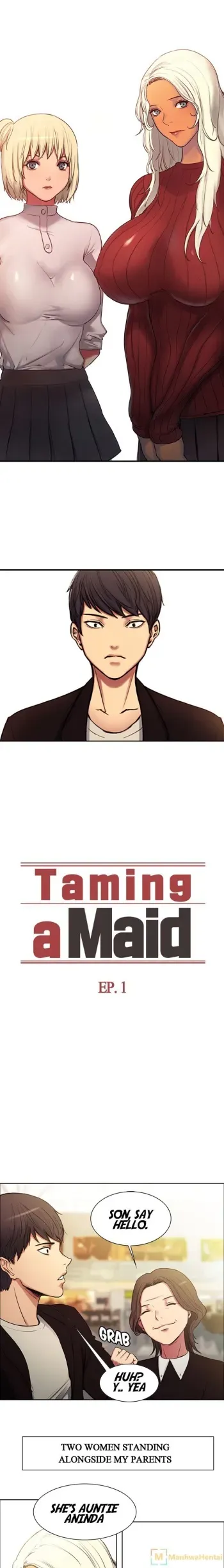 Taming a Maid/Domesticate the Housekeeper manga cover