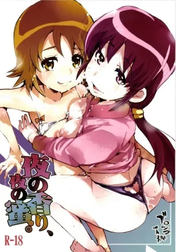 [Bronco Hitoritabi (Uchi-Uchi Keyaki)] Yoru no Kaori, Yoru no Mitsu. (HappinessCharge Precure!) [Digital] manga cover