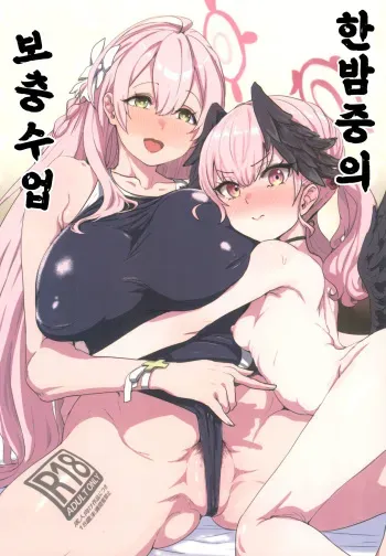 (C101) [Cleari Tei (Clearite)] Yoru no Hoshuu Jugyou | 한밤중의 보충수업 (Blue Archive) [Korean] [징거더블다운맥스] manga cover