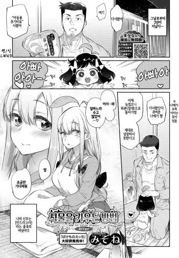 [Mizone] Shokubutsu no Sodatekata ~After~ | 식물을 키우는 방법 ~After~ (COMIC BAVEL 2018-06) [Korean] [LWND] [Digital] manga cover