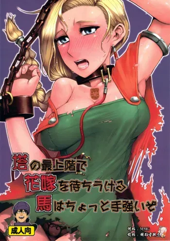 (C81) [A.S.G Group (Misonou)] Tou no Saijoukai de Hanayome o Machi Ukeru Uma wa Chotto Tegowai zo (Dragon Quest V) [Korean] [MMG] manga cover