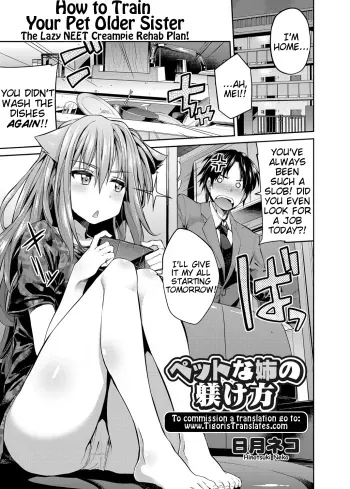 How to Train Your Pet Older Sister manga cover