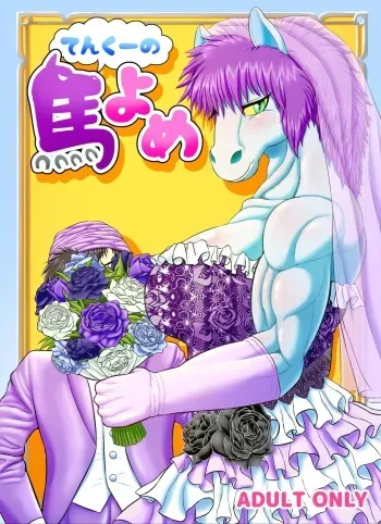 [Seiitsukyou (Goto-Beido)] Tenkuu no Uma Yome (Dragon Quest V) [Digital] manga cover