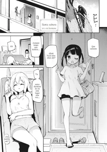 [Homura Subaru] Watashi to Onee-chan | Yo y Mi Hermana (Donna Oppai ga Osuki desuka?) [Spanish] [Irtradil] [Digital] manga cover