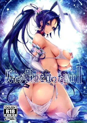 (C95) [Garyuh-Chitai (TANA)] Kare ga Watashi o Katta Wake II (Dragon Quest XI) manga cover