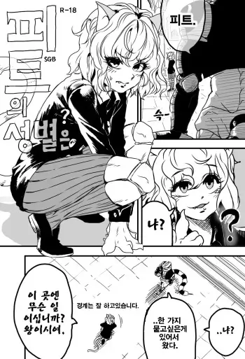 [SGB] 피트의 성별은? (Hunter x Hunter) [Korean] manga cover