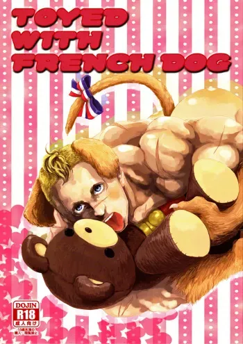 (CCOsaka87) [Takeo Company (Sakura)] TOYED WITH FRENCH DOG (Street Fighter) manga cover
