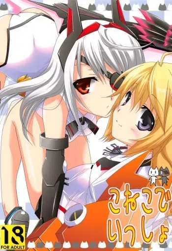 (C78) [CHAGASHI SAIBAN (Yamabuki Mook)] Koneko de Issho (Infinite Stratos) manga cover