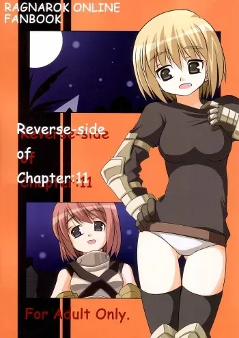 (C66) [Touge no Ryoutya ya (Ryoutya)] Reverse-side of Chapter: 11 (Ragnarok Online) manga cover