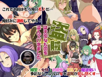 [WINDWAVE] Touzoku wa taihenna mono o nusunde ikimashita. manga cover