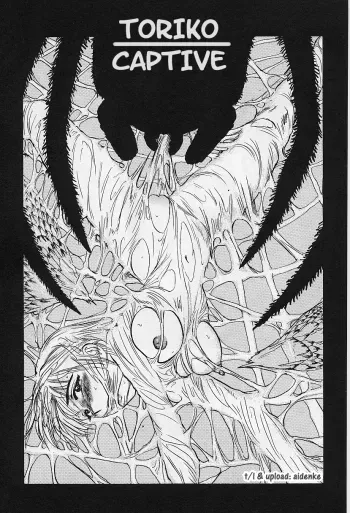 Momoyama JirouToriko manga cover