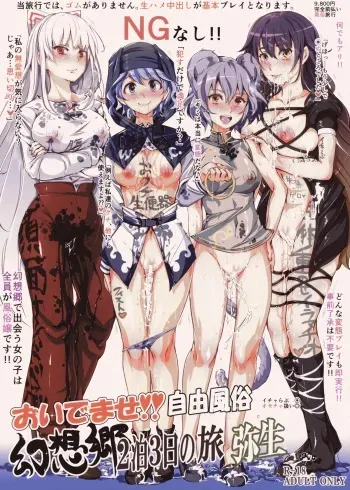Oidemase!! Jiyuu Fuuzoku Gensoukyou 2-haku 3-kka no Tabi - Yayoi manga cover