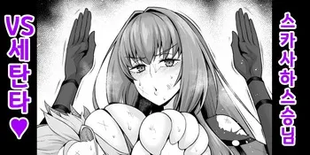 [Ankoman] 스카사하 스승님 VS 세탄타❤ (Fate/Grand Order) [Korean] [Decensored] manga cover