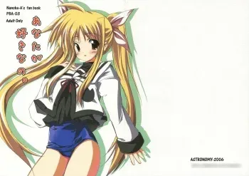 (SC31) [ASTRONOMY (SeN)] Anata ga suki nano. (Mahou Shoujo Lyrical Nanoha) manga cover