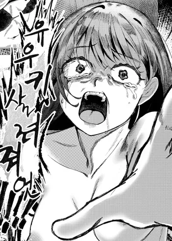 [Alisame] Daisuki na Ane no Ryuushutsu Douga de Shikoru Wakenai Daro | 좋아하는 누나의 유출 영상으로 자위할 리가 없잖아 [Korean] manga cover