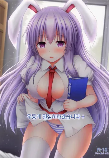 (C100) [I'm (Matsubayashi Nagana)] Udonge Ganbarimasu Plus | 우동게 열심히 하겠습니다+ (Touhou Project)[korean] manga cover