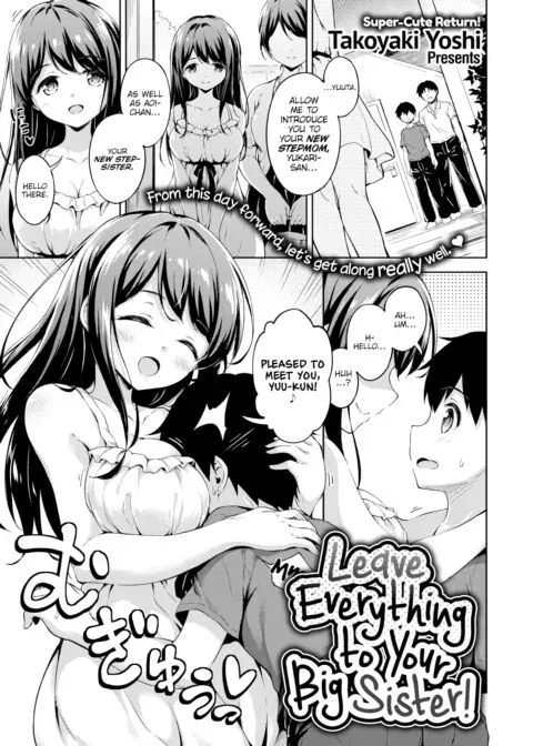 Leave Everything to Your Big Sister! manga cover