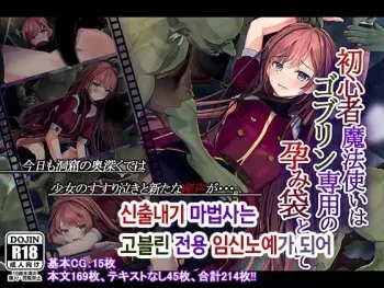 [Ranpakudou (Sugita Ranpaku)] Shoshinsha Mahoutsukai wa Goblin Senyou no Haramibukuro to Shite [Korean] manga cover