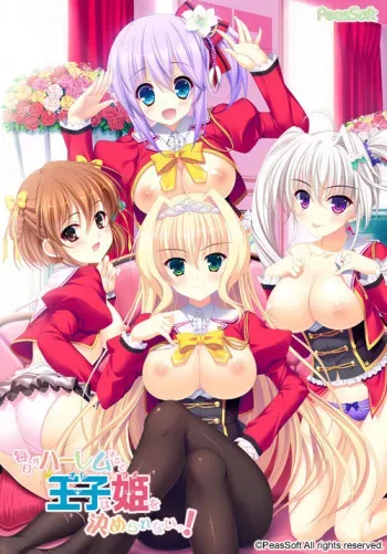 [PeasSoft] Mainichi ga Harem Sugite Ore wa Yome o Kimerarenai! manga cover