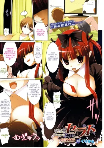 Succubus Serato manga cover