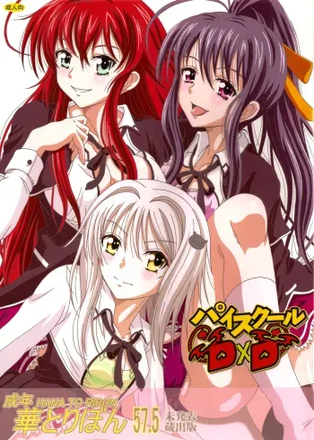 Seinen hana to ribon 57. 5 PaisukÅ«ru DxD manga cover