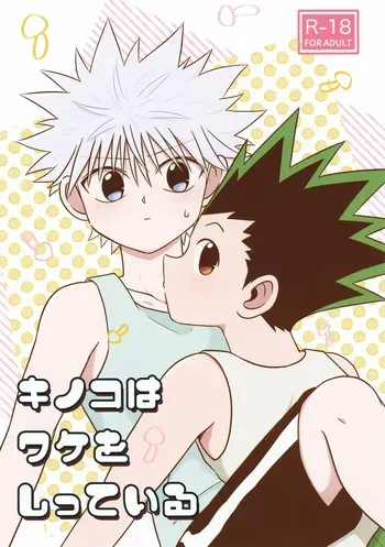 (Re:HUNTER 10) [Kizuguchi wa Nurasanai (Gyonii)] Kinoko wa Wake o Shitte Iru (Hunter x Hunter) manga cover
