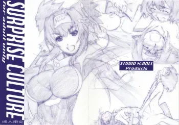 (C74) [Studio N.BALL (Haritama Hiroki)] SURPRISE CULTURE (Macross Frontier) manga cover