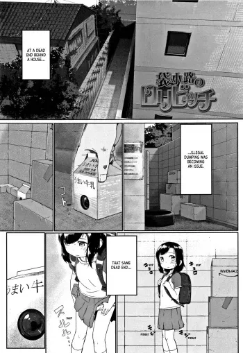 [Satuyo] Fukurokouji no Loli Bitch | Loli Bitch in the Dead End Street + Toranoana Bonus Leaflet (Peaceful Ecchi! - PEACEFUL H) [English] [ianuela] manga cover