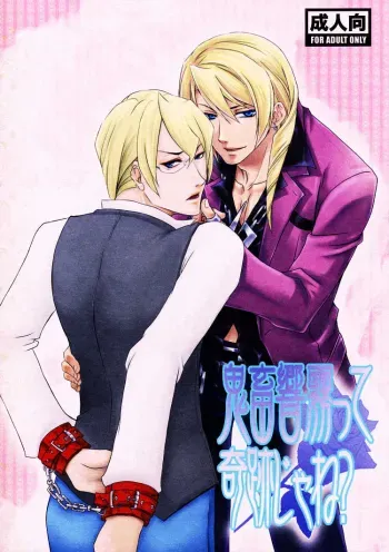 Kichiku Hibiki Kiri tte Kiseki ja ne? manga cover