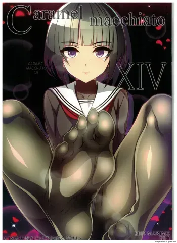 Caramel Macchiato 14 manga cover