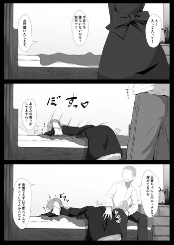[Shirokumasan] リクエスト絵の高画質版です (Strawberry Panic) manga cover