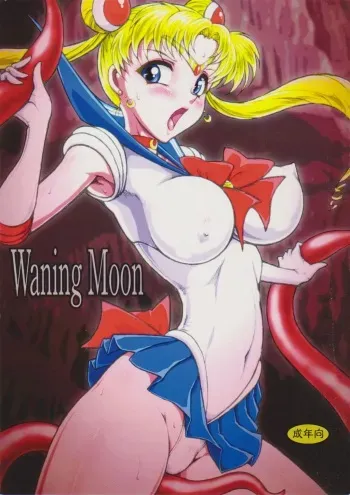 (C88) [Taiyoukei Kaihatsu Kikou (Marubayashi Shumaru)] Waning Moon (Bishoujo Senshi Sailor Moon) manga cover