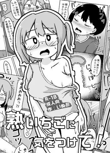 [Shiba Dog House (Inuon)] Juku Ichigo ni Kiotsukete! manga cover