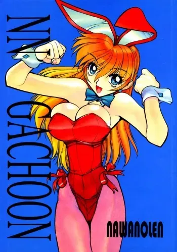 (C52) [Nawanoren (Shimizu Kiyoshi)] NN GACHOON (Various) manga cover