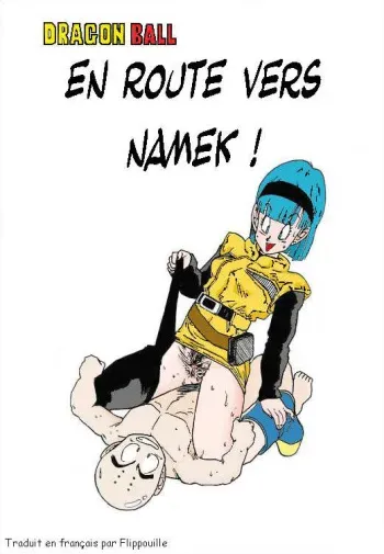 [Dragon Ball Z] Aim at Planet Namek [French] manga cover