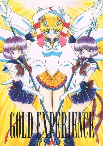 [BLACK DOG (Kuroinu Juu)] GOLD EXPERIENCE (Bishoujo Senshi Sailor Moon) [English] [2000-11-23] manga cover