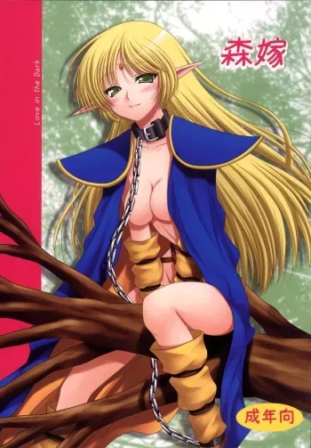 [Ai Wa Kurayami (Marui Ryuu)] Moriyome (Record of Lodoss War) [Digital] manga cover