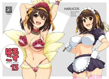 Harucos 13 manga cover