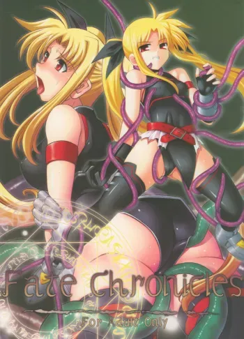 (Lyrical Magical 3) [Palette Enterprise (Various)] Fate Chronicles (Mahou Shoujo Lyrical Nanoha) manga cover