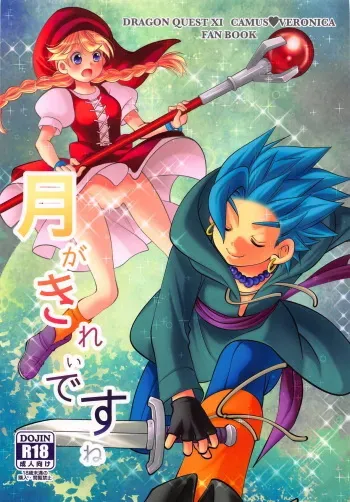 (TWINKLE MIRAGE 10) [umanicom (Umani)] Tsuki ga Kirei desu ne (Dragon Quest XI) manga cover