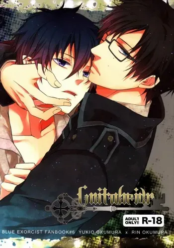 (C81) [FIZZCODE (Satonishi)] Gnitaheidr (Ao no Exorcist) manga cover