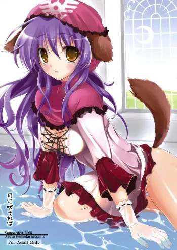 (SC41) [Samoyedest (Bankoku Ayuya)] Tsuki ni Hoereba (Dragon Quest II) manga cover