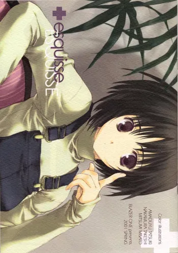 (CR29) [Blazer One (Amaduyu Tatsuki, Mitsumi Misato, Nakamura Takeshi)] esquisse (Various) manga cover