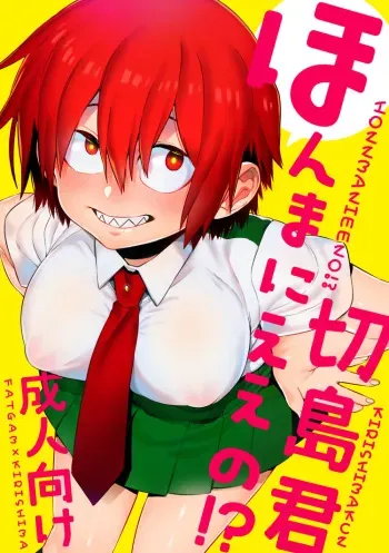 (Douyara Deban no Youda! 13) [P-ha (Kitochinman)] Honma ni ei no!? Kirishima-kun (Boku no Hero Academia) [Sample] manga cover