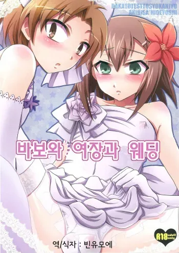 (SPARK5) [Heatwave (Yuuhi)] Baka to Josou to Wedding (Baka to Test to Shoukanjuu) [Korean] [Team Arcana] manga cover