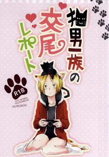 (RTS!!5) [MOBRIS (Tomoharu)] Neko Otoko Ichizoku no Koubi Report (Haikyuu!!) manga cover