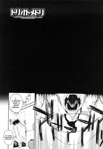 Otomedori final (English manga cover